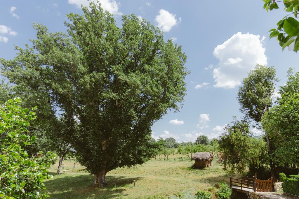 מלון Pazo Da Pena Manzaneda מראה חיצוני תמונה